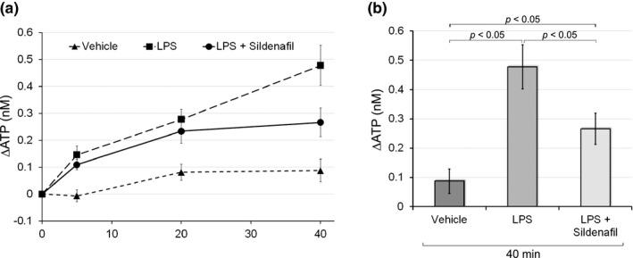 https://cdn.ncbi.nlm.nih.gov/pmc/blobs/ab39/8290832/16c84551740a/PHY2-9-e14938-g005.jpg