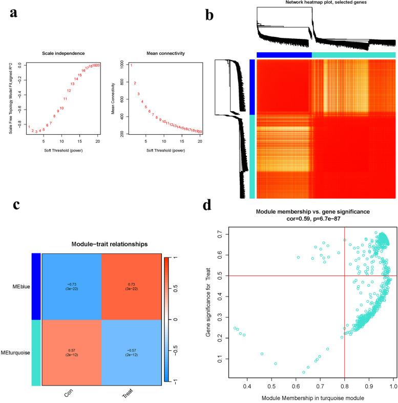 https://cdn.ncbi.nlm.nih.gov/pmc/blobs/ab3c/11110368/cb6397965da3/12891_2024_7512_Fig7_HTML.jpg