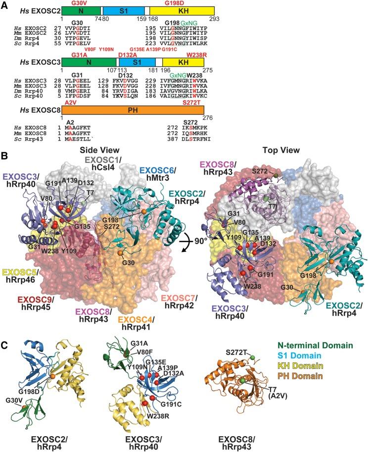 https://cdn.ncbi.nlm.nih.gov/pmc/blobs/ab3c/5769741/3a405a71c0a9/127f02.jpg