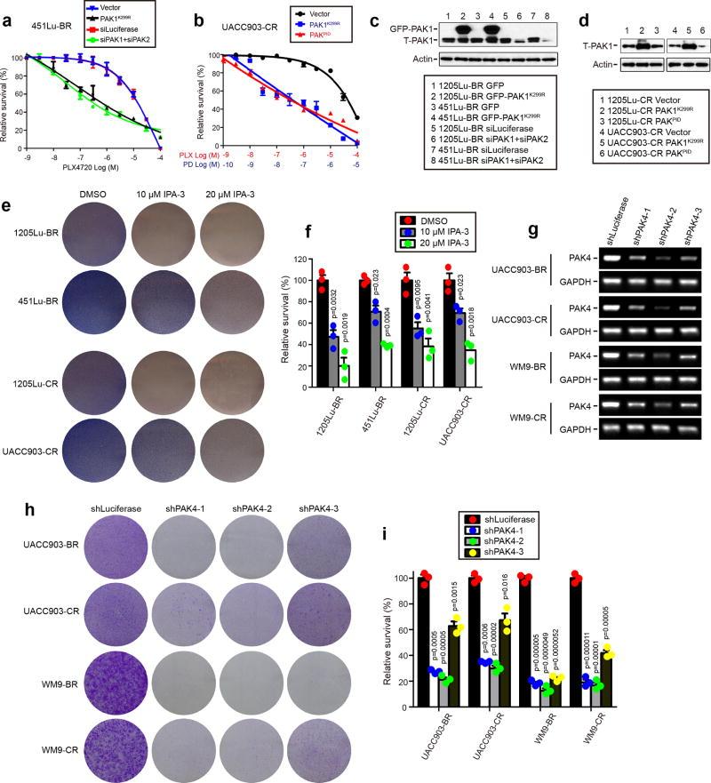 https://cdn.ncbi.nlm.nih.gov/pmc/blobs/ab3e/5891348/64b519fa63d5/nihms902008f9.jpg