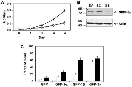 https://cdn.ncbi.nlm.nih.gov/pmc/blobs/ab3f/3169572/07212e40b619/pone.0024082.g001.jpg