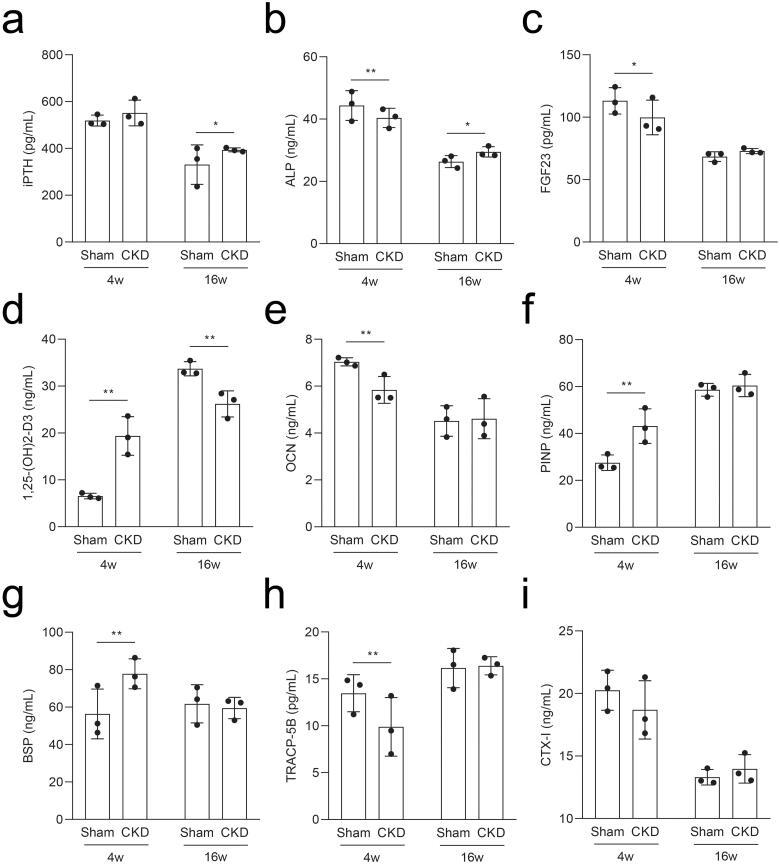 https://cdn.ncbi.nlm.nih.gov/pmc/blobs/ab41/9848274/4bbceba05929/IRNF_A_2162419_F0004_B.jpg