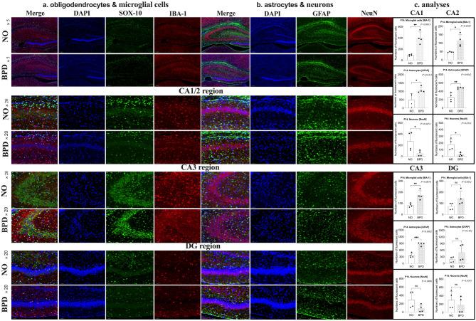 https://cdn.ncbi.nlm.nih.gov/pmc/blobs/ab44/11603889/2c82f1981f23/12868_2024_912_Fig4_HTML.jpg