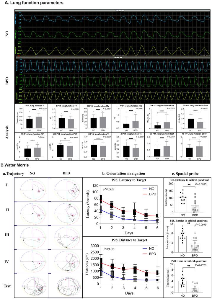 https://cdn.ncbi.nlm.nih.gov/pmc/blobs/ab44/11603889/f281985b7bdd/12868_2024_912_Fig5_HTML.jpg