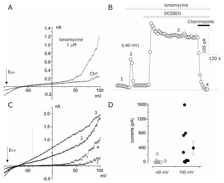 https://cdn.ncbi.nlm.nih.gov/pmc/blobs/ab46/11720479/8427a21d519d/cells-14-00050-g004.jpg