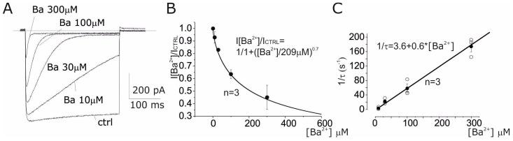 https://cdn.ncbi.nlm.nih.gov/pmc/blobs/ab46/11720479/cdaf1bff5504/cells-14-00050-g003.jpg