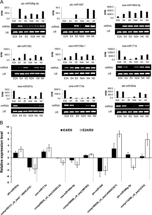 https://cdn.ncbi.nlm.nih.gov/pmc/blobs/ab46/4169805/0357a5929bc2/12864_2014_6456_Fig10_HTML.jpg