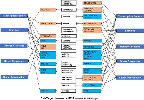https://cdn.ncbi.nlm.nih.gov/pmc/blobs/ab46/4169805/1759ec4b09de/12864_2014_6456_Fig9_HTML.jpg