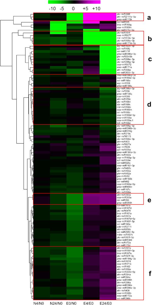 https://cdn.ncbi.nlm.nih.gov/pmc/blobs/ab46/4169805/2b74c835baf2/12864_2014_6456_Fig8_HTML.jpg