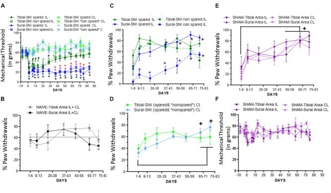 https://cdn.ncbi.nlm.nih.gov/pmc/blobs/ab46/5068091/3f5275097ae8/fnmol-09-00100-g003.jpg