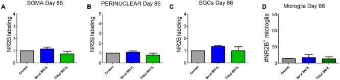 https://cdn.ncbi.nlm.nih.gov/pmc/blobs/ab46/5068091/ec8b37aacb36/fnmol-09-00100-g007.jpg
