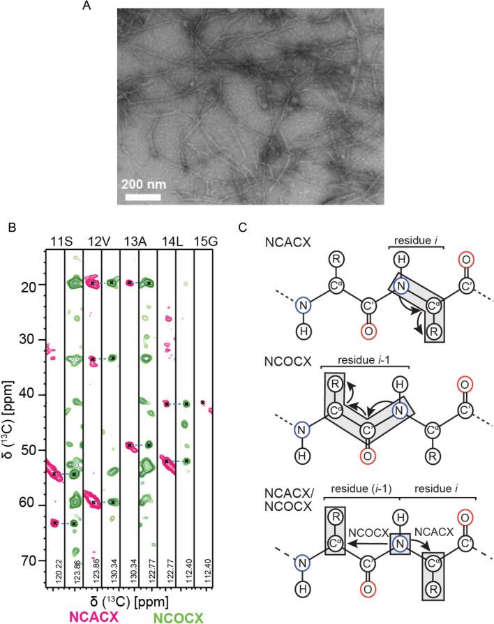 https://cdn.ncbi.nlm.nih.gov/pmc/blobs/ab48/7973639/e5837b051e7d/12104_2020_9975_Fig2_HTML.jpg