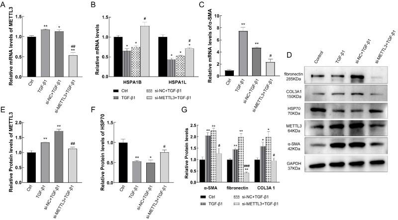 https://cdn.ncbi.nlm.nih.gov/pmc/blobs/ab49/11562871/3a8a5f6b61e9/iovs-65-13-9-f007.jpg