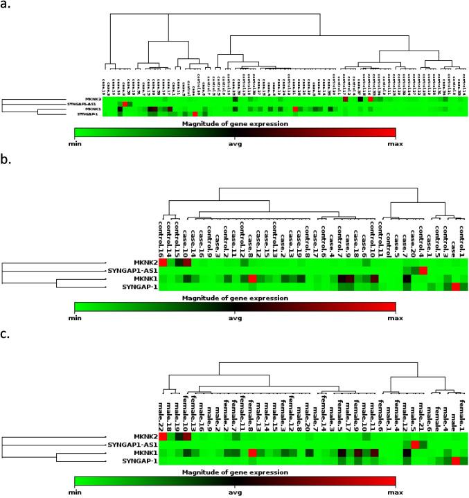 https://cdn.ncbi.nlm.nih.gov/pmc/blobs/ab49/11922980/1e6e02897288/431_2025_6089_Fig5_HTML.jpg