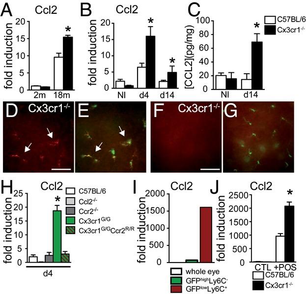 https://cdn.ncbi.nlm.nih.gov/pmc/blobs/ab4a/3840491/559a7fe1046b/emmm0005-1775-f2.jpg