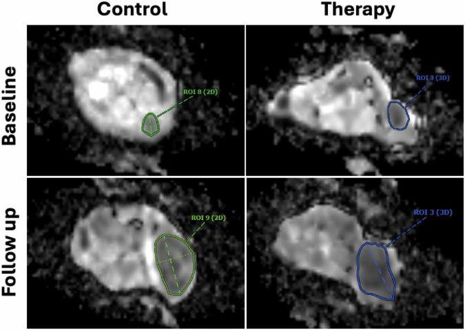 https://cdn.ncbi.nlm.nih.gov/pmc/blobs/ab4b/12167185/8661ddd38265/41747_2025_597_Fig3_HTML.jpg