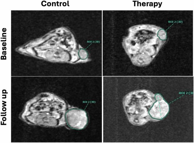 https://cdn.ncbi.nlm.nih.gov/pmc/blobs/ab4b/12167185/ffbe7397be91/41747_2025_597_Fig2_HTML.jpg