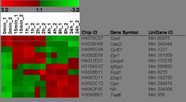 https://cdn.ncbi.nlm.nih.gov/pmc/blobs/ab4b/2912872/f4de2a504fe8/1471-2407-10-386-1.jpg
