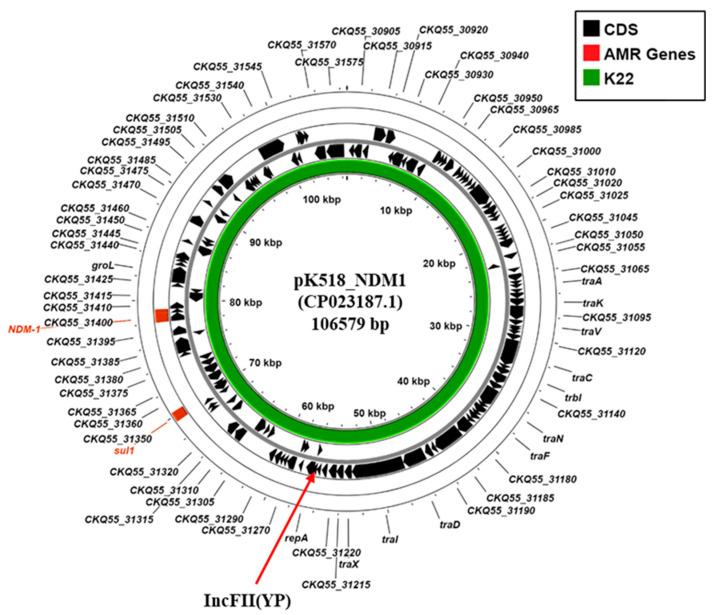 https://cdn.ncbi.nlm.nih.gov/pmc/blobs/ab4c/12114269/2de625113c94/microorganisms-13-01058-g004.jpg