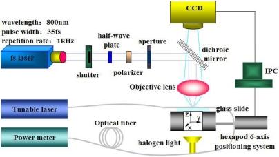 https://cdn.ncbi.nlm.nih.gov/pmc/blobs/ab4e/3274066/ebb45a63105e/sensors-11-00054f1.jpg