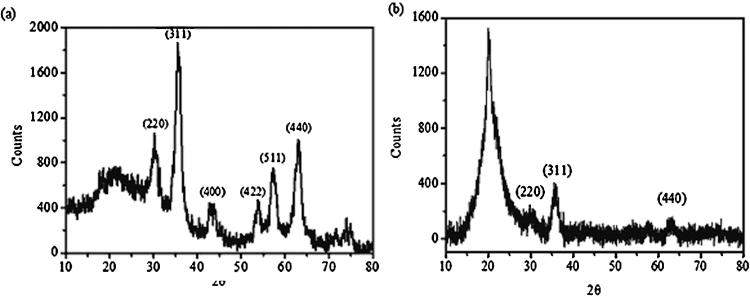 https://cdn.ncbi.nlm.nih.gov/pmc/blobs/ab52/5598369/c93eddfb9626/gr2.jpg