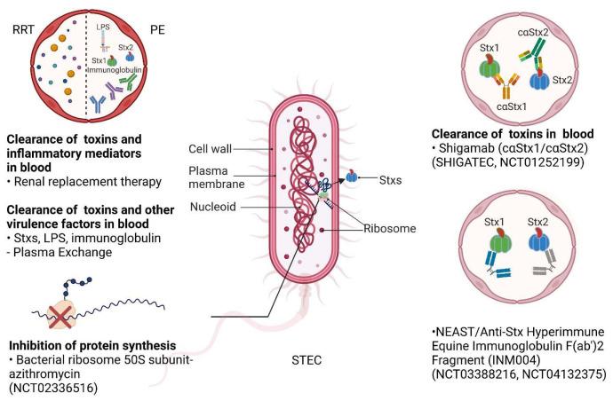 https://cdn.ncbi.nlm.nih.gov/pmc/blobs/ab52/9862836/9809e40db1c5/toxins-15-00010-g003.jpg