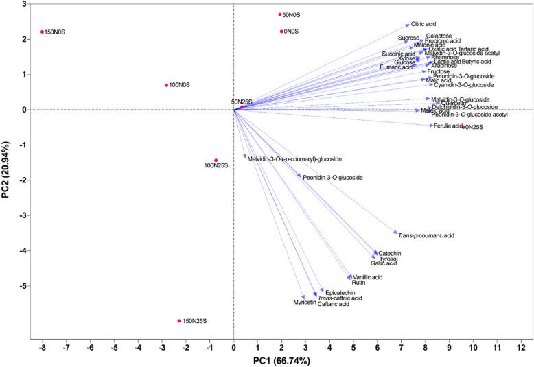 https://cdn.ncbi.nlm.nih.gov/pmc/blobs/ab53/12139183/efcfb1a52a13/12870_2025_6803_Fig5_HTML.jpg