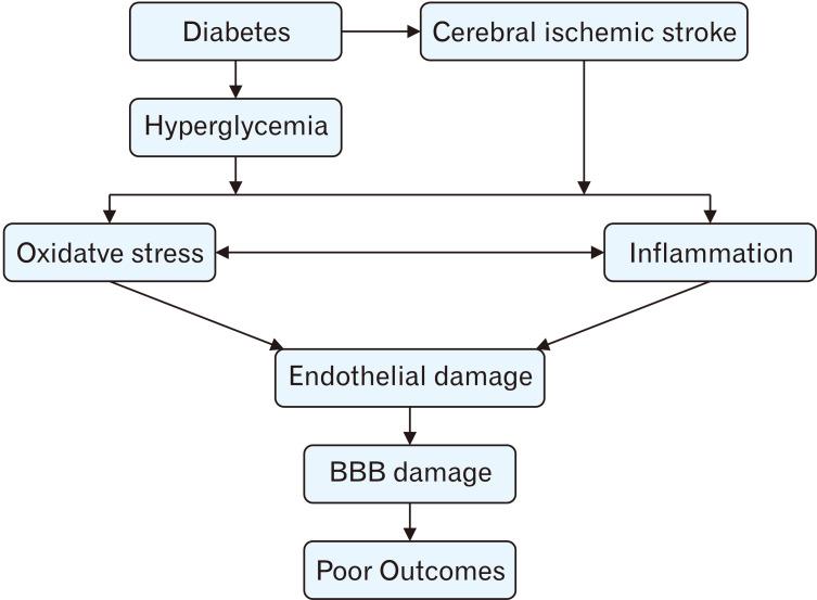 https://cdn.ncbi.nlm.nih.gov/pmc/blobs/ab53/8225477/53d739774acd/acb-54-2-165-f3.jpg