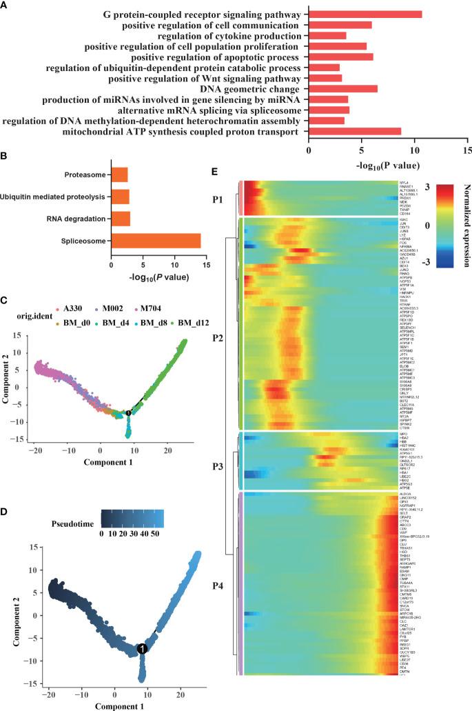 https://cdn.ncbi.nlm.nih.gov/pmc/blobs/ab53/9394455/d6159b397b16/fonc-12-915833-g005.jpg