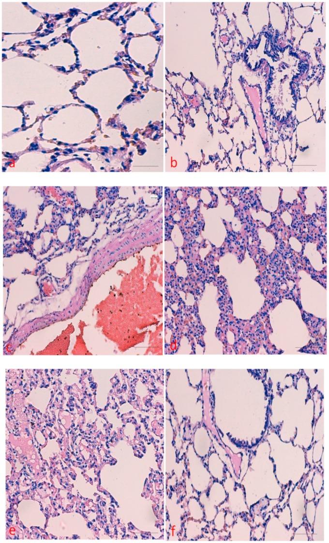 https://cdn.ncbi.nlm.nih.gov/pmc/blobs/ab55/7037262/b00698991b43/molecules-25-00724-g001.jpg