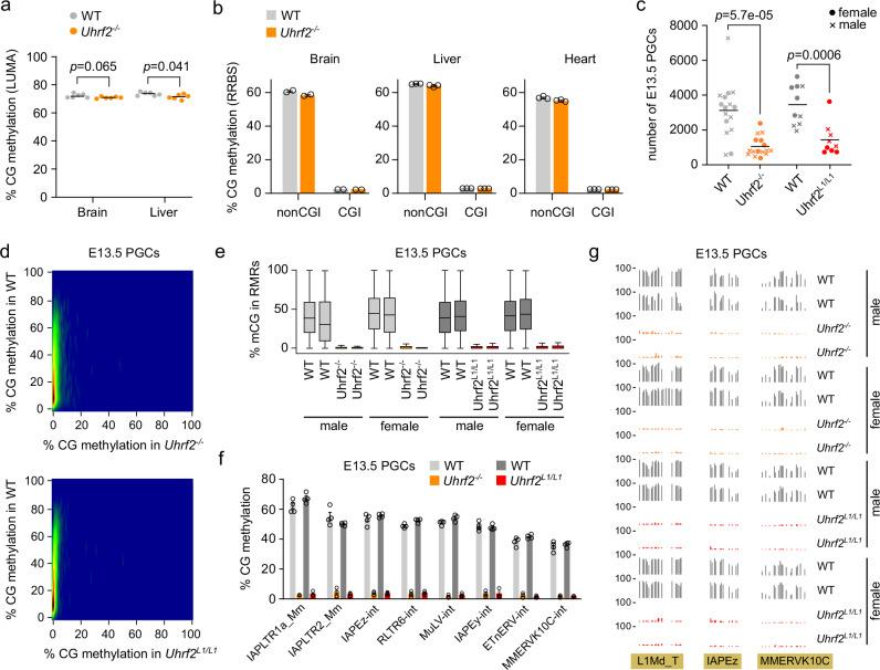 https://cdn.ncbi.nlm.nih.gov/pmc/blobs/ab56/12335541/c753015cc803/41467_2025_61954_Fig3_HTML.jpg