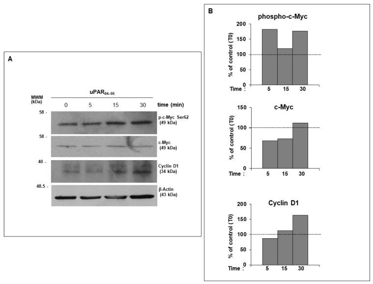 https://cdn.ncbi.nlm.nih.gov/pmc/blobs/ab59/10969995/98fe7489d837/ijms-25-03156-g003.jpg