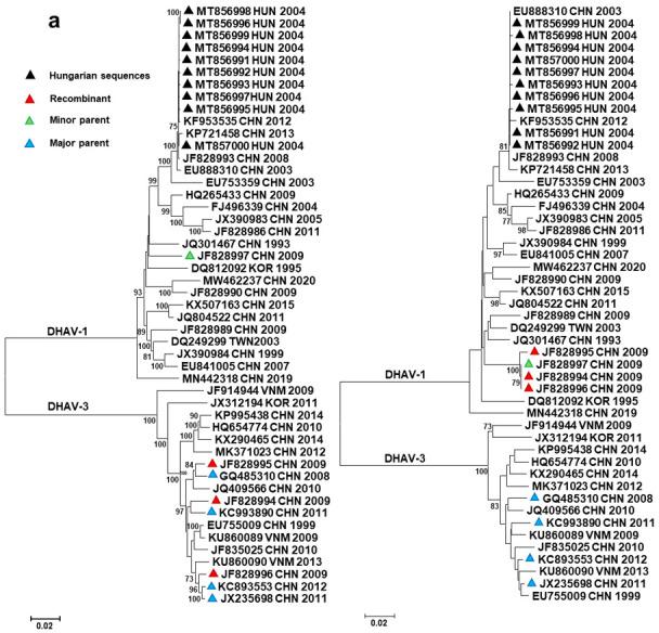 https://cdn.ncbi.nlm.nih.gov/pmc/blobs/ab5a/8402860/bb8ddc6a5858/viruses-13-01592-g002a.jpg