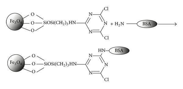 https://cdn.ncbi.nlm.nih.gov/pmc/blobs/ab5c/4054909/2e8efe2e1612/BTRI2014-705068.sch.001.jpg