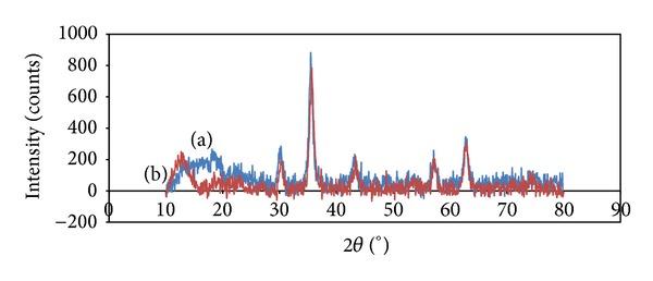 https://cdn.ncbi.nlm.nih.gov/pmc/blobs/ab5c/4054909/f0dd83d1e92d/BTRI2014-705068.004.jpg