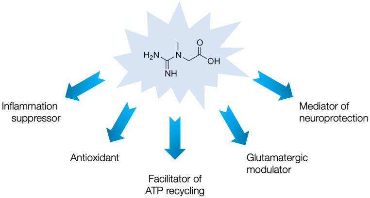 https://cdn.ncbi.nlm.nih.gov/pmc/blobs/ab5c/7913646/d8c0e30583ee/nutrients-13-00503-g001.jpg
