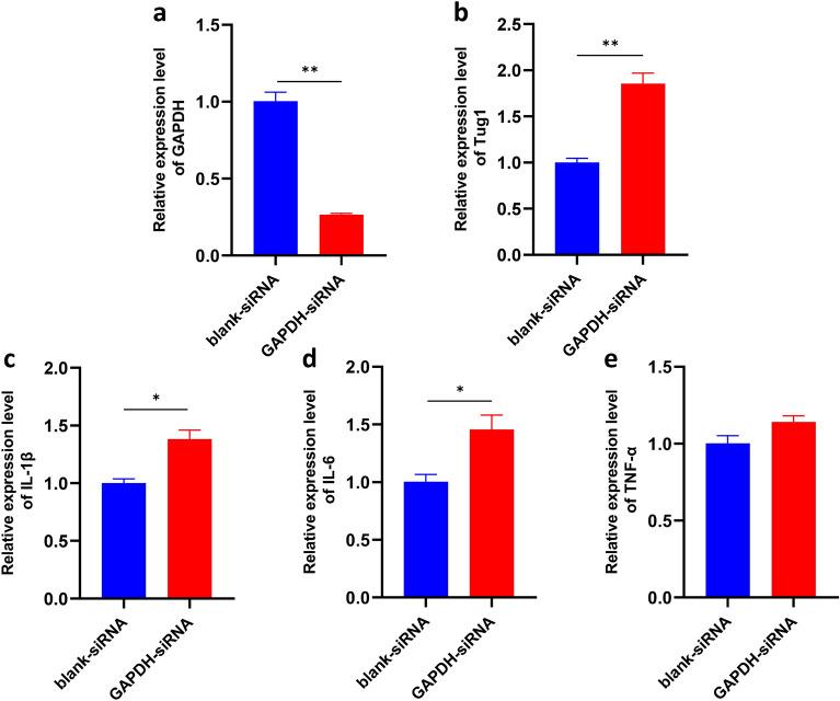 https://cdn.ncbi.nlm.nih.gov/pmc/blobs/ab5d/11130314/d2fce6784772/41598_2024_62966_Fig2_HTML.jpg