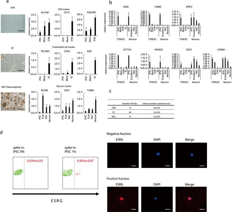https://cdn.ncbi.nlm.nih.gov/pmc/blobs/ab5d/7314783/4140c2edbc9a/41598_2020_66845_Fig4_HTML.jpg