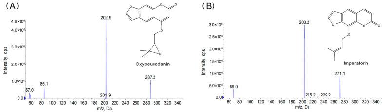 https://cdn.ncbi.nlm.nih.gov/pmc/blobs/ab5e/9182147/ead47fc978b5/molecules-27-03570-g001.jpg