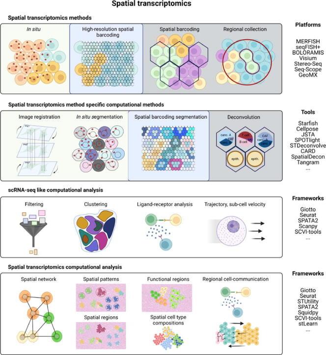 https://cdn.ncbi.nlm.nih.gov/pmc/blobs/ab5e/9464853/c6a20b46a7fa/ga1.jpg