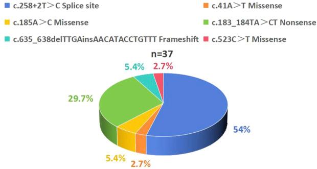 https://cdn.ncbi.nlm.nih.gov/pmc/blobs/ab5f/12213692/9505060755f8/fgene-16-1603782-g003.jpg