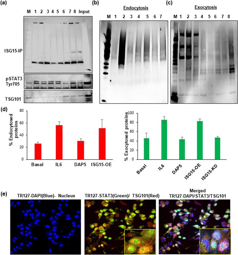 https://cdn.ncbi.nlm.nih.gov/pmc/blobs/ab60/11080709/09d842b535cd/JEX2-3-e92-g002.jpg
