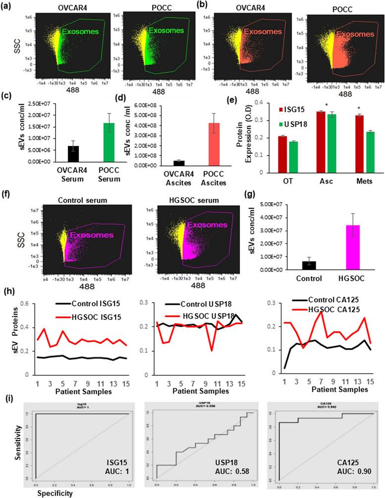 https://cdn.ncbi.nlm.nih.gov/pmc/blobs/ab60/11080709/5616c158b255/JEX2-3-e92-g001.jpg