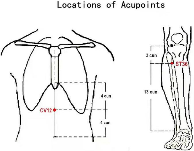 https://cdn.ncbi.nlm.nih.gov/pmc/blobs/ab60/9108289/0d9f6d1ae251/fnins-16-819310-g001.jpg