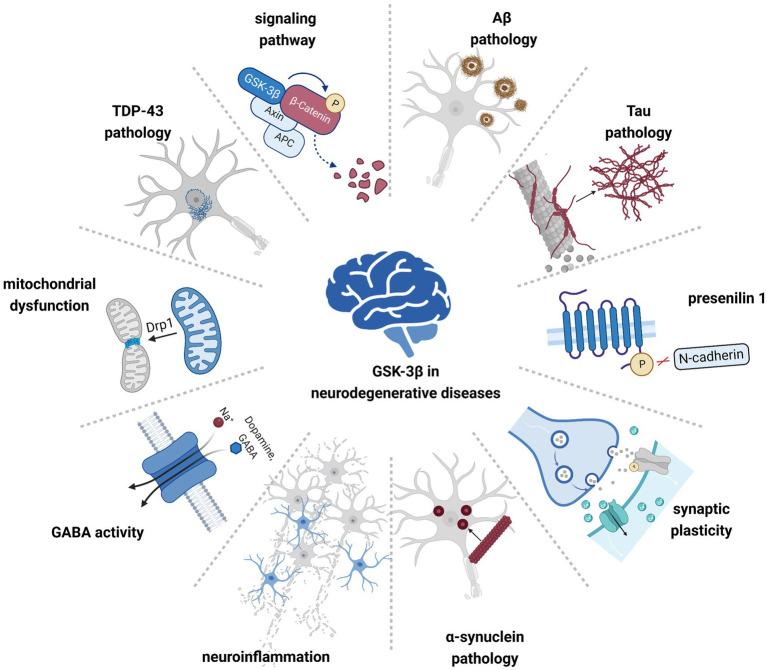 https://cdn.ncbi.nlm.nih.gov/pmc/blobs/ab61/10540228/885232e5afe0/fnmol-16-1209703-g001.jpg