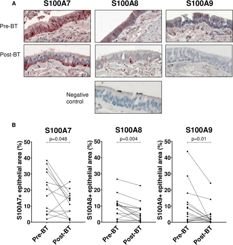 https://cdn.ncbi.nlm.nih.gov/pmc/blobs/ab62/10668474/bf1ac0a93046/12931_2023_2604_Fig3_HTML.jpg
