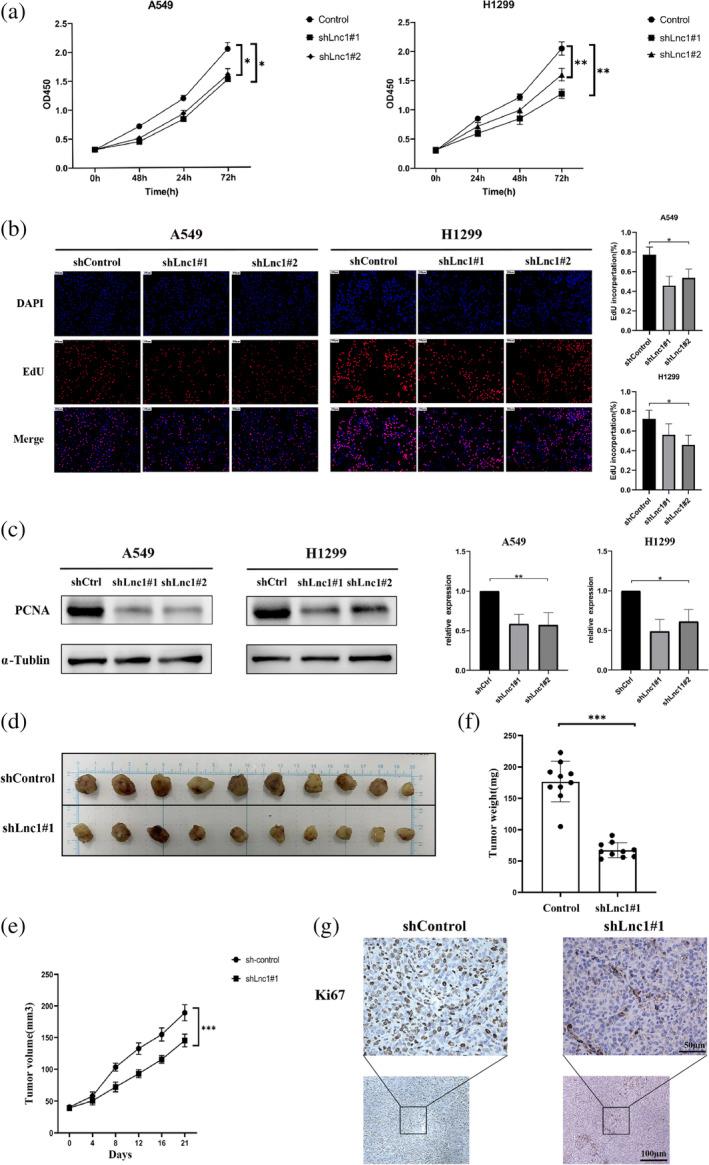 https://cdn.ncbi.nlm.nih.gov/pmc/blobs/ab62/11219295/6d5f692d4d2b/TCA-15-1477-g007.jpg