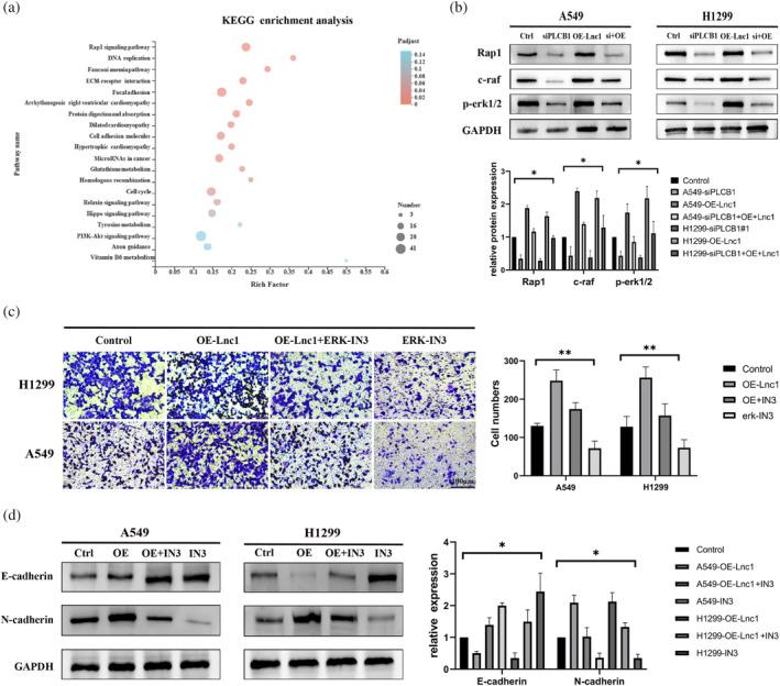 https://cdn.ncbi.nlm.nih.gov/pmc/blobs/ab62/11219295/d835c8d144b6/TCA-15-1477-g003.jpg