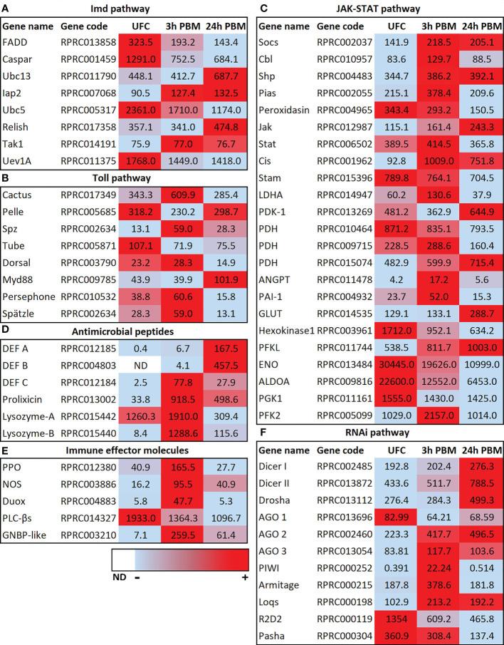 https://cdn.ncbi.nlm.nih.gov/pmc/blobs/ab63/10926411/a519e90c2356/finsc-03-1167889-g003.jpg