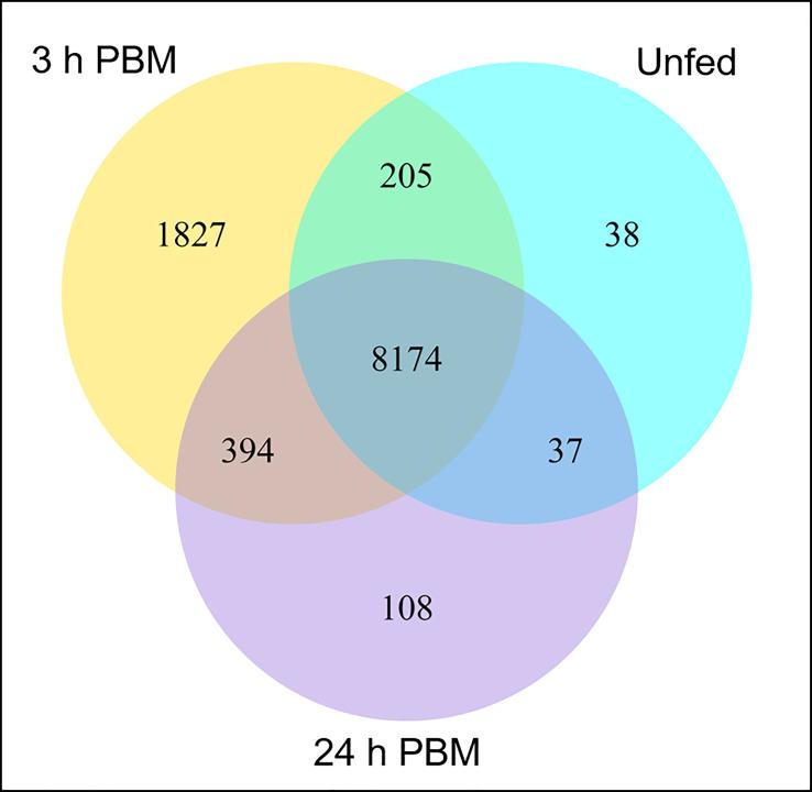 https://cdn.ncbi.nlm.nih.gov/pmc/blobs/ab63/10926411/fae69ccd6179/finsc-03-1167889-g001.jpg